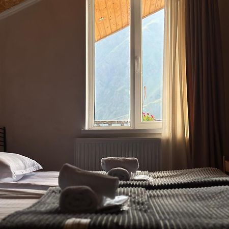 Hotel Dari 卡兹贝吉 外观 照片